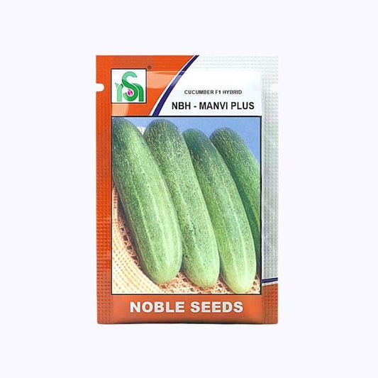 NBH - Manvi Plus Cucumber Seeds - Noble | F1 Hybrid | Buy Online at Best Price