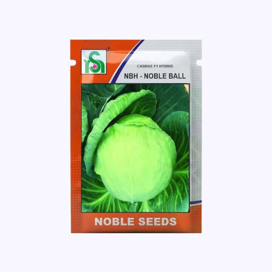 NBH - Noble Ball Cabbage Seeds - Noble | F1 Hybrid | Buy Online at Best Price