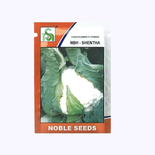 NBH - Shentha Cauliflower Seeds - Noble | F1 Hybrid | Buy Online at Best Price