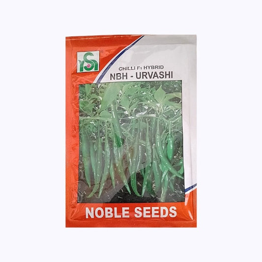 NBH - Urvashi Chilli Seeds - Noble | F1 Hybrid | Buy Online at Best Price