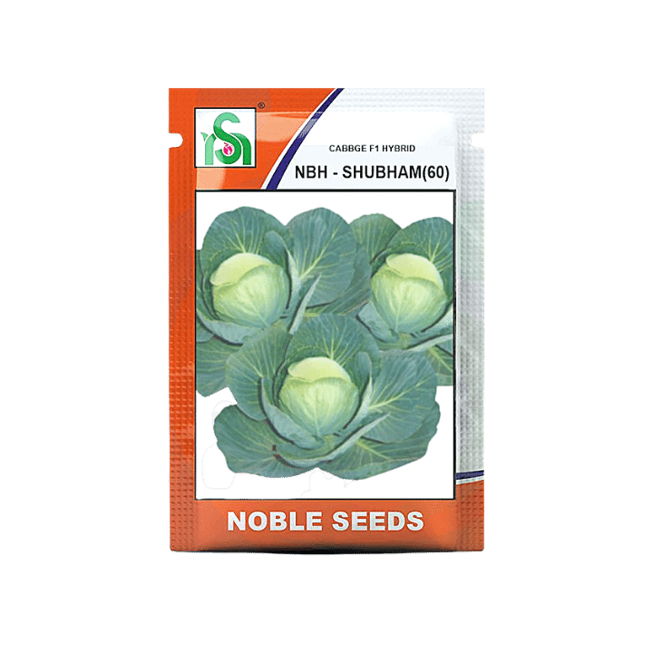 NBH - Shubham (60) Cabbage Seeds - Noble | F1 Hybrid | Buy Online at Best Price