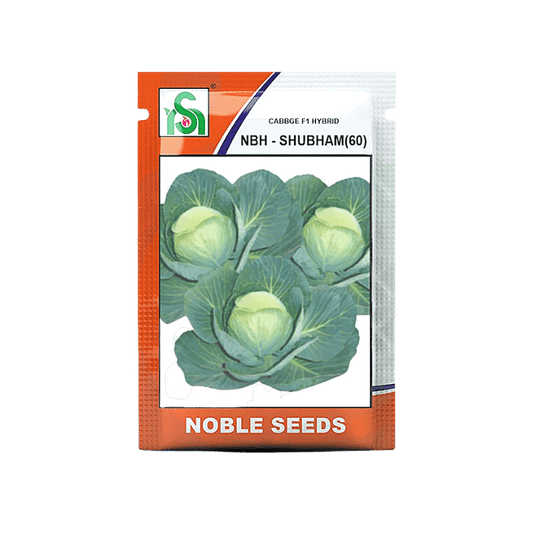 NBH - Shubham (60) Cabbage Seeds - Noble | F1 Hybrid | Buy Online at Best Price