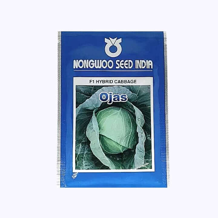 Ojas Cabbage Seeds - Nongwoo | F1 Hybrid | Buy Online at Best Price
