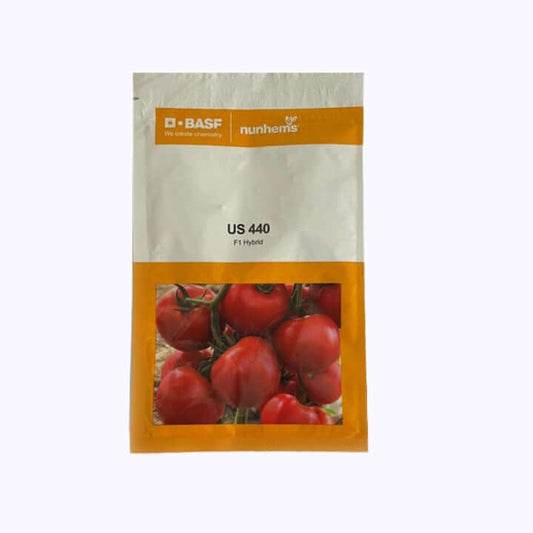 US 440 Tomato Seeds - Nunhems | F1 Hybrid | Buy Online at Best Price