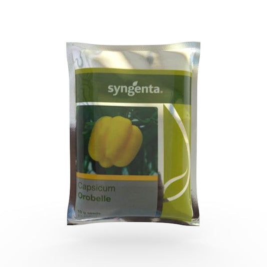 Orobelle Capsicum Seeds - Syngenta | F1 Hybrid | Buy Online at Best Price