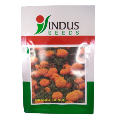 Orange Bunch Marigold Seeds - Indus | F1 Hybrid | Buy Online at Best Price