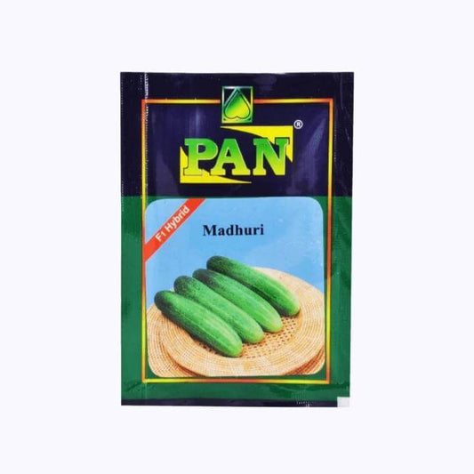 PAN Madhuri Cucumber Seeds | F1 Hybrid | Buy Online at Best Price