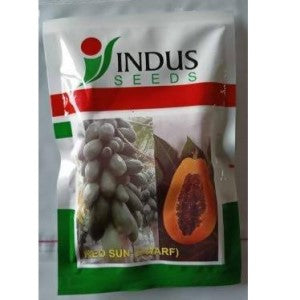 Indus Red Sun Dwarf Papaya Seeds | F1 Hybrid | Buy Online at Best Price