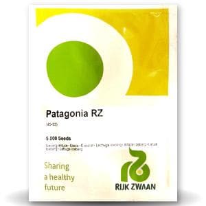 Patagonia RZ (45-53) Iceberg Lettuce Seeds - Rijk Zwaan | F1 Hybrid | Buy Online at Best Price