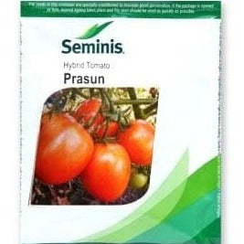 Prasun Tomato Seeds | Buy Online At Best Price