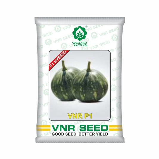 VNR P1 Pumpkin Seeds | F1 Hybrid | Buy Online at Best Price