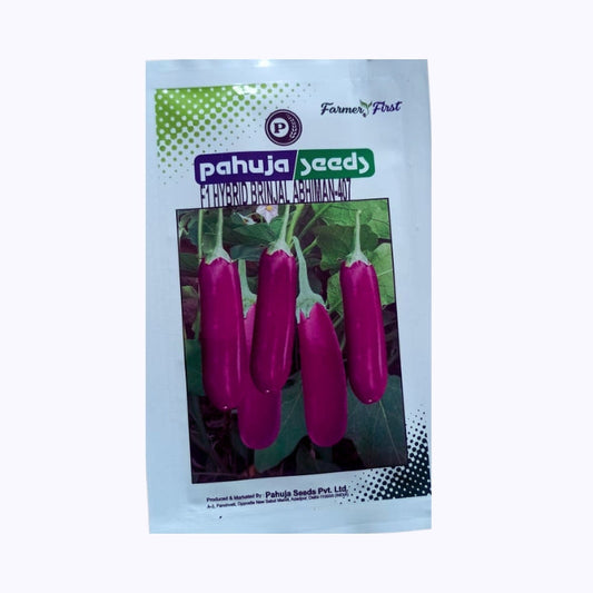 Abhiman-407 Brinjal Seeds - Pahuja | F1 Hybrid | Buy Online at Best Price