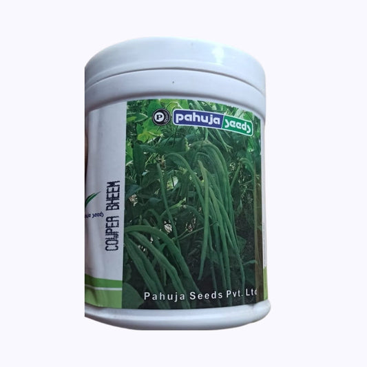Bheem Cowpea Seeds - Pahuja | F1 Hybrid | Buy Online at Best Price