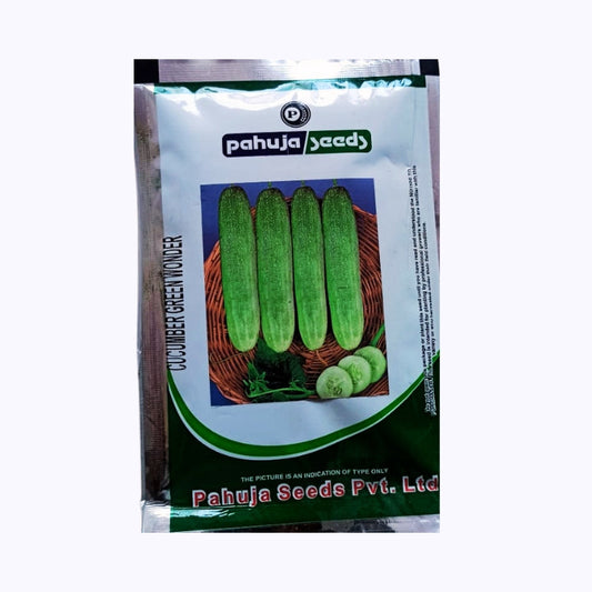 Green Wonder Cucumber Seeds - Pahuja | F1 Hybrid | Buy Online at Best Price