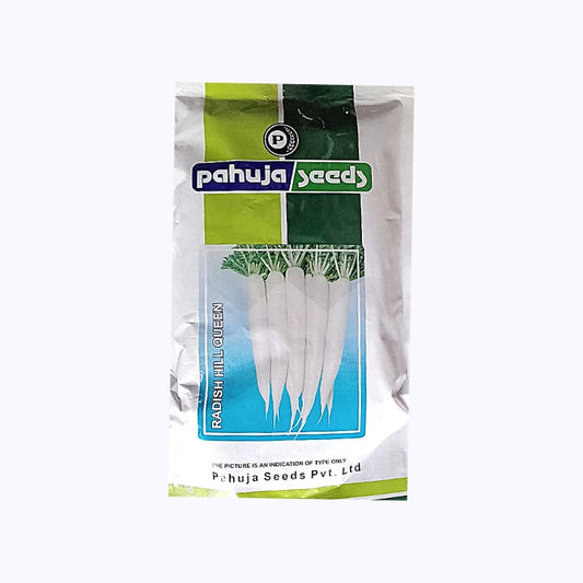 Hill Queen Radish Seeds - Pahuja | F1 Hybrid | Buy Online at Best Price