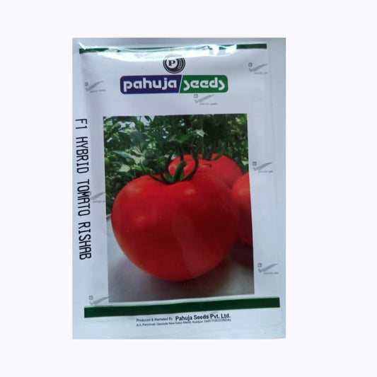 Rishab Tomato Seeds - Pahuja | F1 Hybrid | Buy Online at Best Price