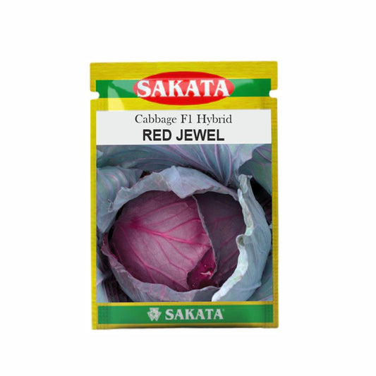 Red Jewel Cabbage Seeds - Sakata | F1 Hybrid | Buy Online at Best Price