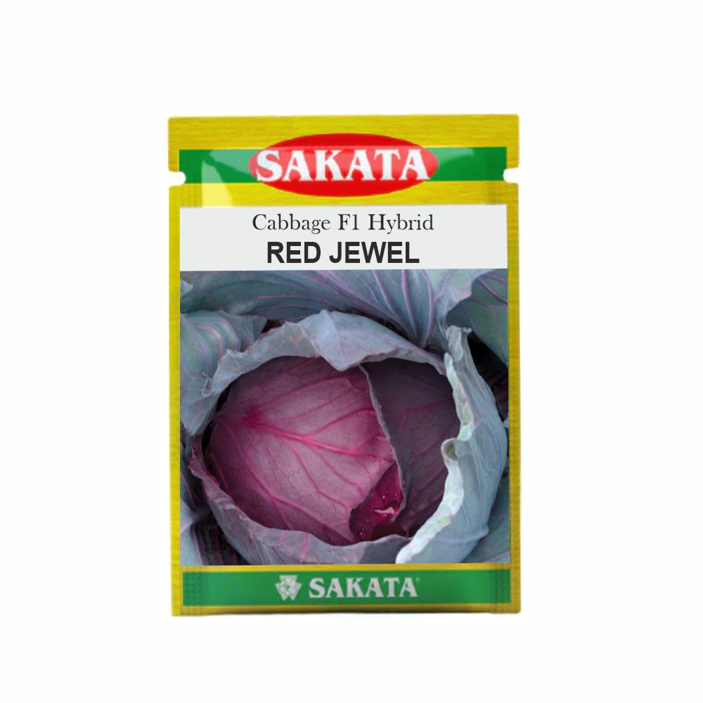 Red Jewel Cabbage Seeds - Sakata | F1 Hybrid | Buy Online at Best Price