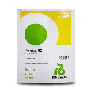 Pareso RZ (72-126) Cherry Tomato Seeds - Rijk Zwaan | F1 Hybrid | Buy Online at Best Price