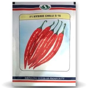 S - 16 Chilli Seeds - Sungro | F1 Hybrid | Buy Online at Best Price