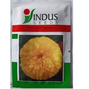 Indus Bijali Yellow Moon Seeds | F1 Hybrid | Buy Online at Best Price