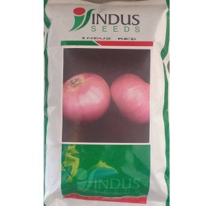 Indus Red Onion Seeds | F1 Hybrid | Buy Online at Best Price