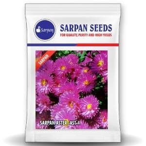 Sarpan Ast-4 Aster Seeds | F1 Hybrid | Buy Online at Best Price