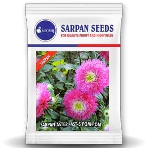 Sarpan AST - 5 Aster Pom Pom Seeds | F1 Hybrid | Buy Online at Best Price
