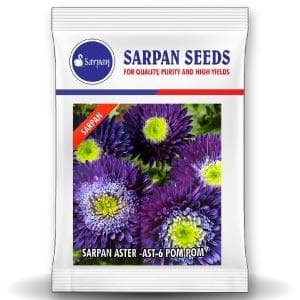 Sarpan Aster - 6 Pompom Blue Seeds | F1 Hybrid | Buy Online at Best Price