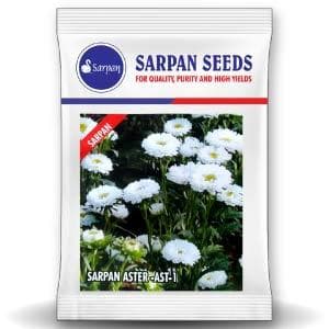 Sarpan Ast-1 Aster Seeds | F1 Hybrid | Buy Online at Best Price