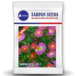 Sarpan  Ast - 2 Aster Seeds | F1 Hybrid | Buy Online at Best Price