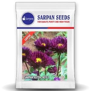 Sarpan  Ast-3 Aster Seeds | F1 Hybrid | Buy Online at Best Price