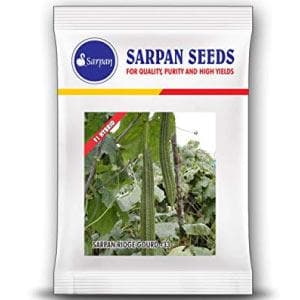 Sarpan - 33 Ridge Gourd Seeds | F1 Hybrid | Buy Online at Best Price