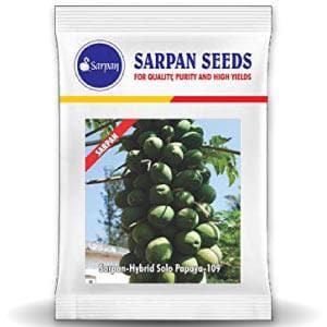 Sarpan Solo-109 Papaya Seeds | F1 Hybrid | Buy Online at Best Price