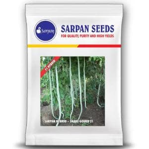 Sarpan Snake Gourd - 21 Seeds | F1 Hybrid | Buy Online at Best Price