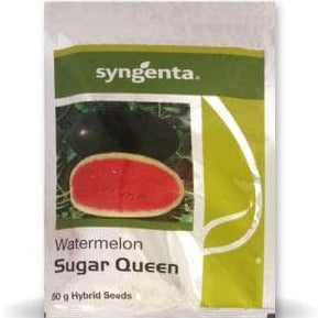 Sugar Queen Water Melon Seeds - Syngenta | F1 Hybrid | Buy Online at Best Price