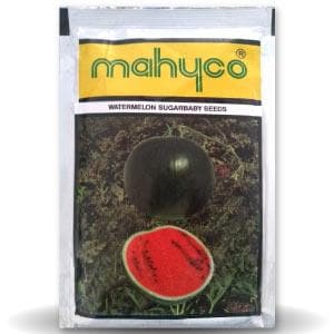 Sugar Baby Watermelon Seeds - Mahyco | F1 Hybrid | Buy Online at Best Price