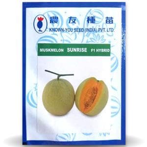 Sunrise Muskmelon Seeds - Known You | F1 Hybrid | Buy Online at Best Price