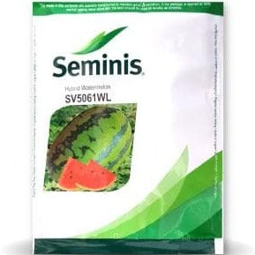 SV5061WL Watermelon Seeds | Buy Online At Best Price