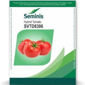 SVTD8306 Tomato Seeds | Buy Online At Best Price
