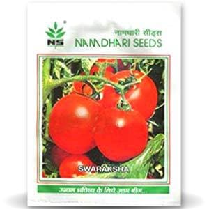 Swaraksha Tomato Seeds - Namdhari | F1 Hybrid | Buy Online at Best Price
