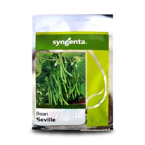 Seville Beans Seeds - Syngenta | F1 Hybrid | Buy Online at Best Price