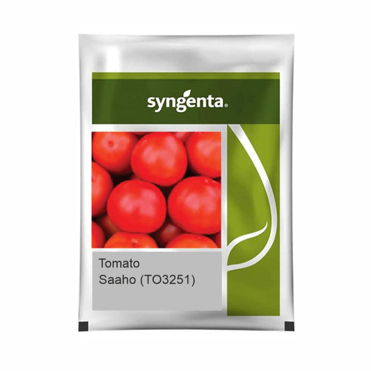 Saaho TO-3251 Tomato Seeds - Syngenta | F1 Hybrid | Buy Online at Best Price