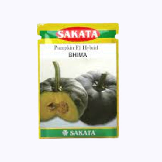 Bhima Pumpkin Seeds - Sakata | F1 Hybrid | Buy Online at Best Price