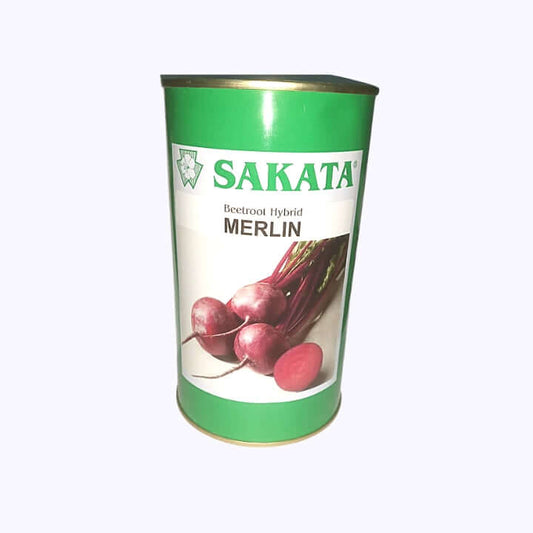 Merlin Beetroot Seeds - Sakata | F1 Hybrid | Buy Online at Best Price