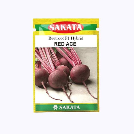 Red Ace Beetroot Seeds - Sakata | F1 Hybrid | Buy Online at Best Price