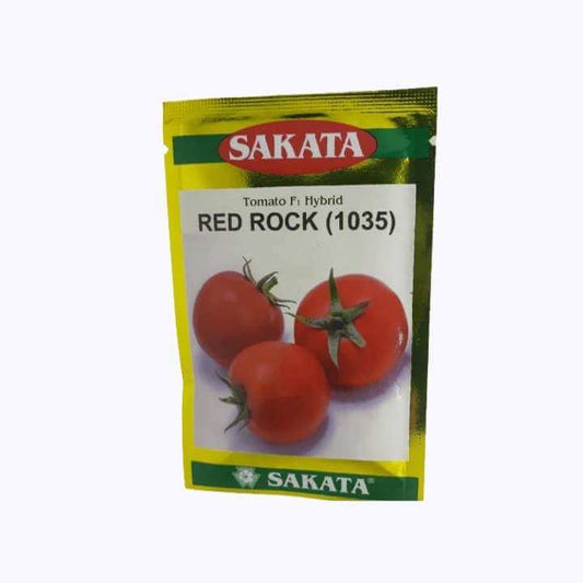 Red Rock (1035) Tomato Seeds - Sakata | F1 Hybrid | Buy Online at Best Price