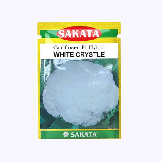 White Crystal Cauliflower Seeds - Sakata | F1 Hybrid | Buy Online at Best Price