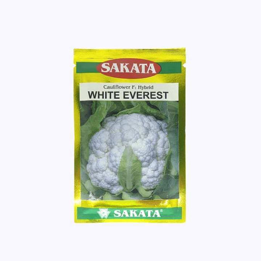White Everest Cauliflower Seeds - Sakata | F1 Hybrid | Buy Online at Best Price
