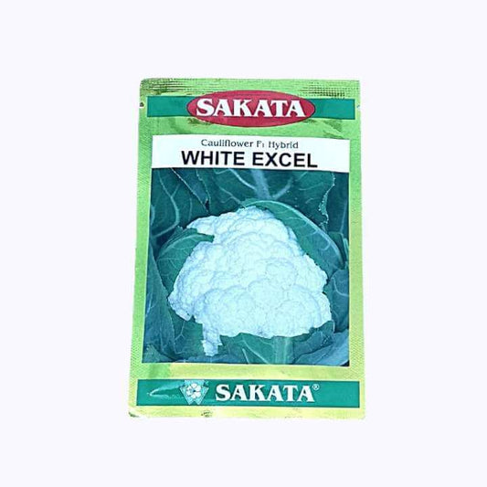 White Excel Cauliflower Seeds - Sakata | F1 Hybrid | Buy Online at Best Price